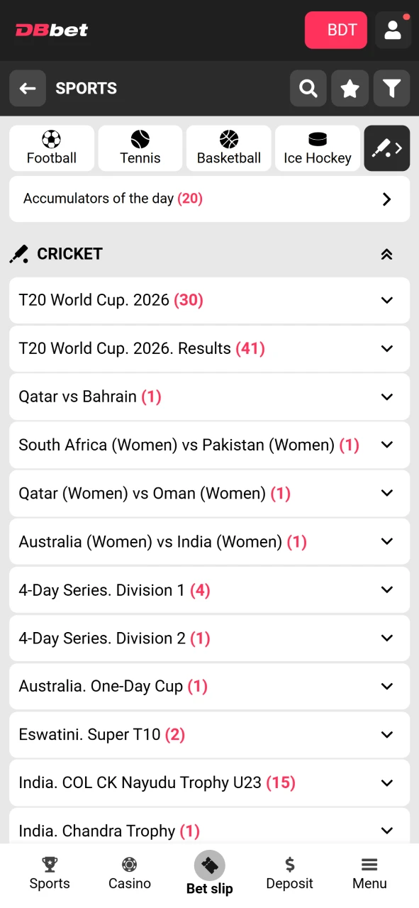 Select a cricket league to bet on DBbet.