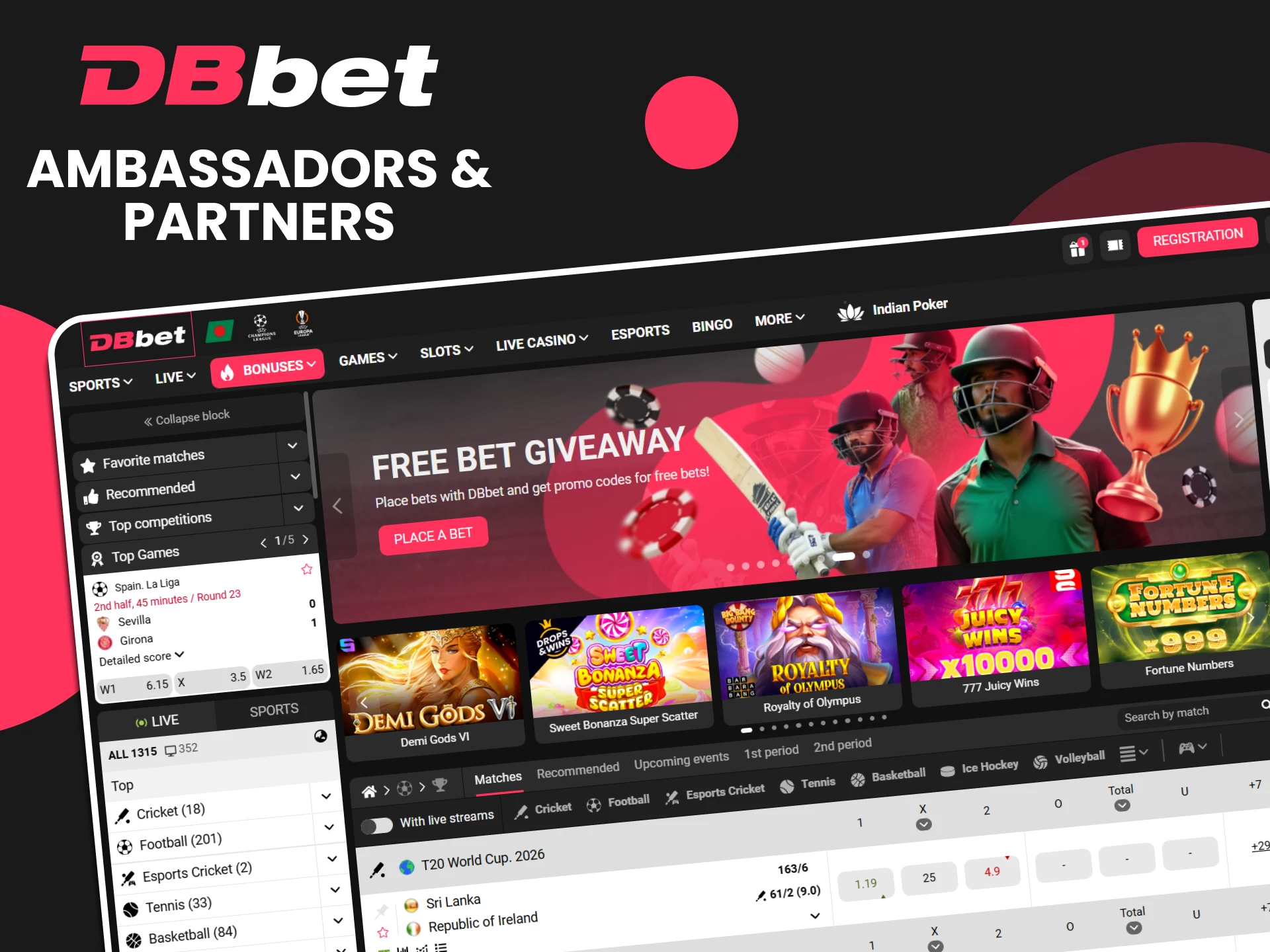 Find out about DBbet's partners.