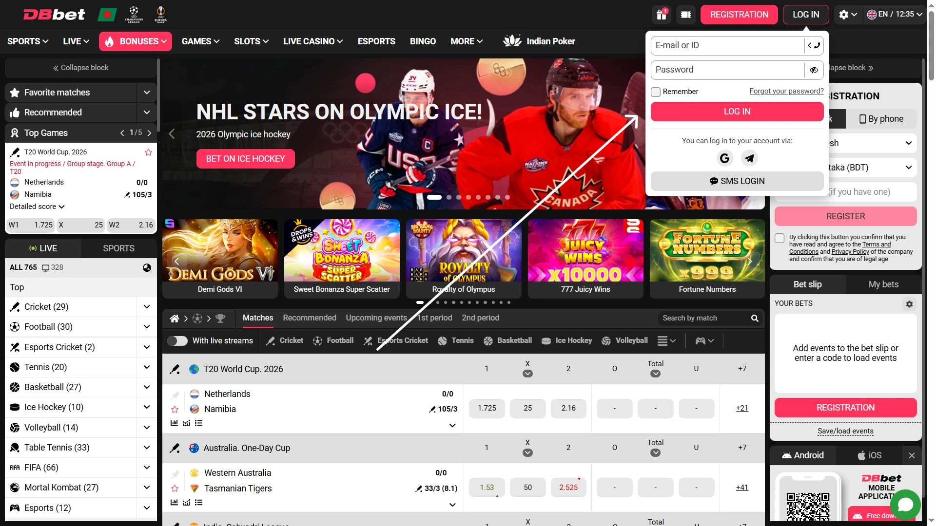 Log in to your personal account on the DBbet website.